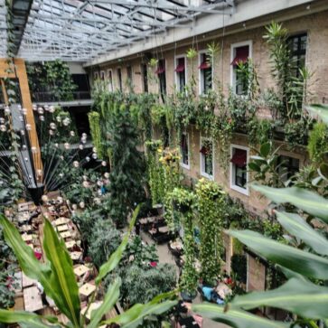 IMG_20251005_133636776_HDR