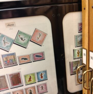 IMG_20251009_120933329_HDR